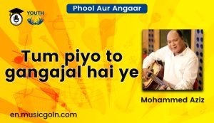 Tum piyo to gangajal hai ye lyrics | Phool Aur Angaar | Mohammed Aziz | 1993