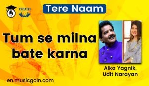 Tum se milna bate karna lyrics | Tere Naam | Alka Yagnik, Udit Narayan | 2003