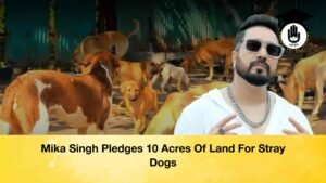 Mika Singh Pledges 10 Acres Of Land For Stray Dogs
